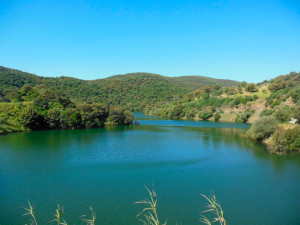 Lago Corsi